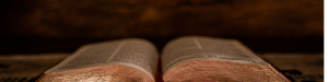 Did Paul Write Colossians