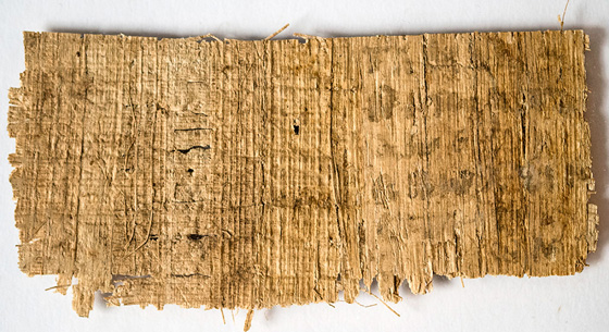 Fourth-century CE codex in Coptic on Back Fourth-century CE codex in Coptic on Back